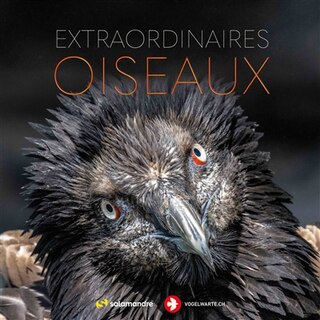 Couverture_Extraordinaires oiseaux