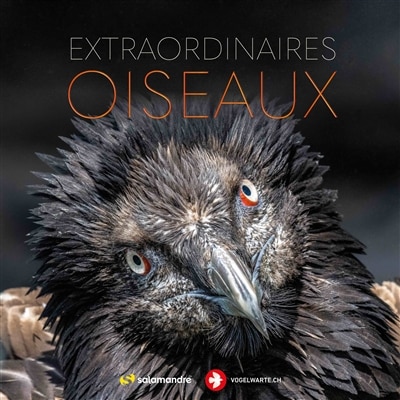 Couverture_Extraordinaires oiseaux