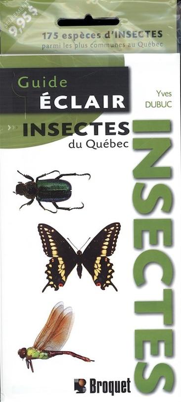 Insectes du Québec