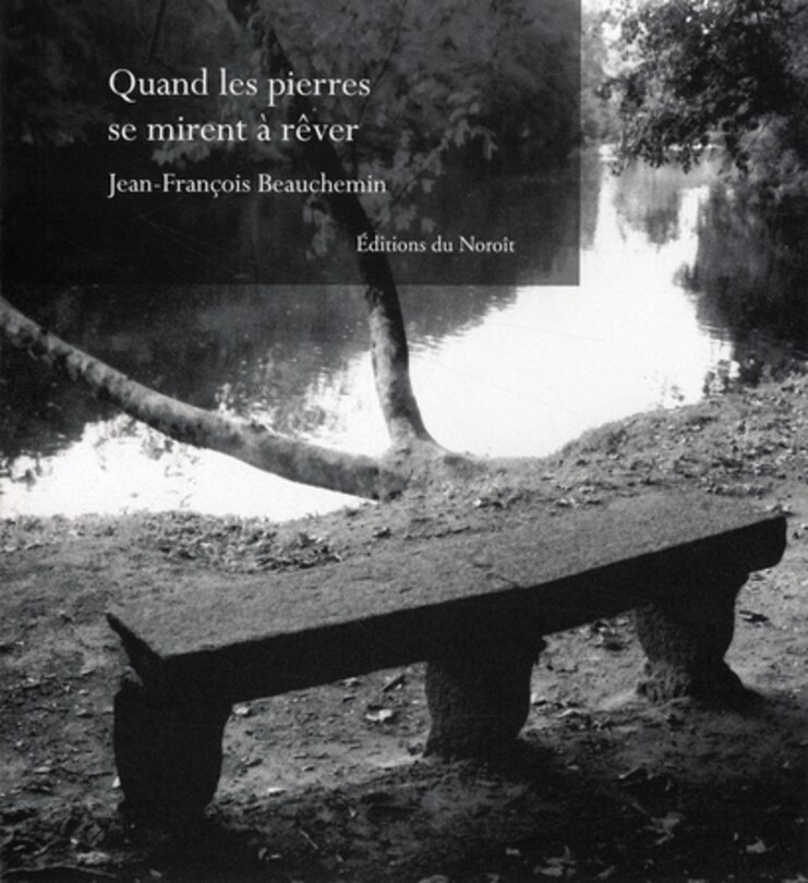 Couverture_Quand les pierres se mirent à rêver
