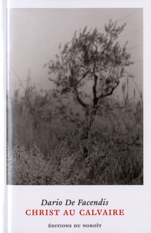 Couverture_Christ au calvaire : poésie