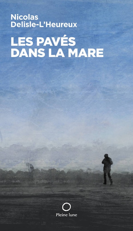 Couverture_Les pav&eacute;s dans la mare