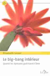 BIG BANG INTERIEUR -LE by Elizabeth Lesser