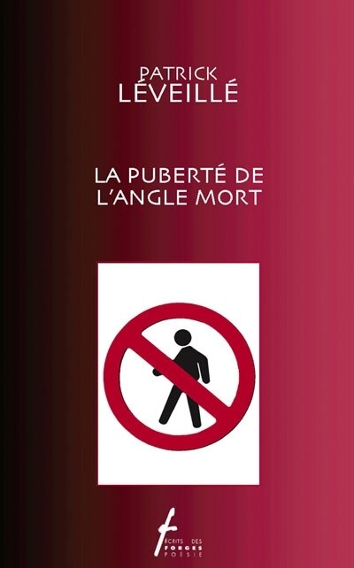 Couverture_La pubert&eacute; de l'angle mort