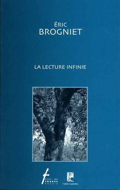 Front cover_La lecture infinie