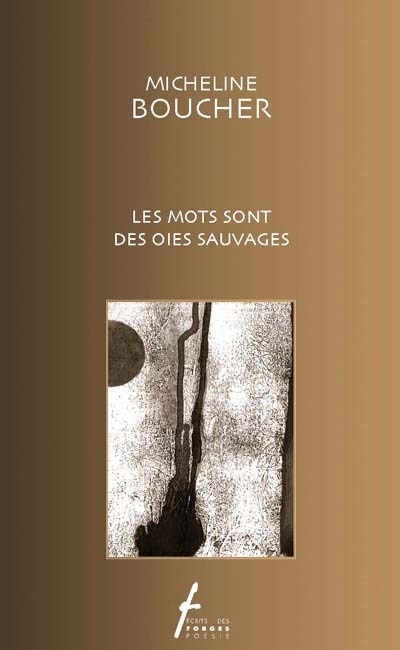 Front cover_Les mots sont des oies sauvages