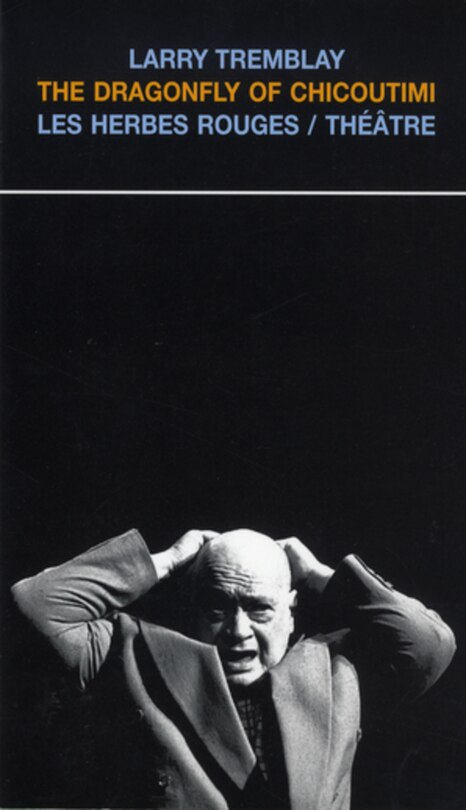 Couverture_The dragonfly of Chicoutimi