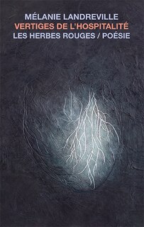 Front cover_Vertiges de l'hospitalit&eacute;