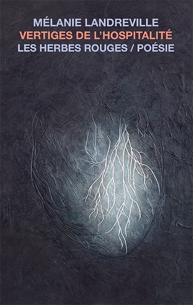 Front cover_Vertiges de l'hospitalit&eacute;