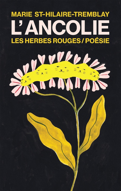 Couverture_L' Ancolie