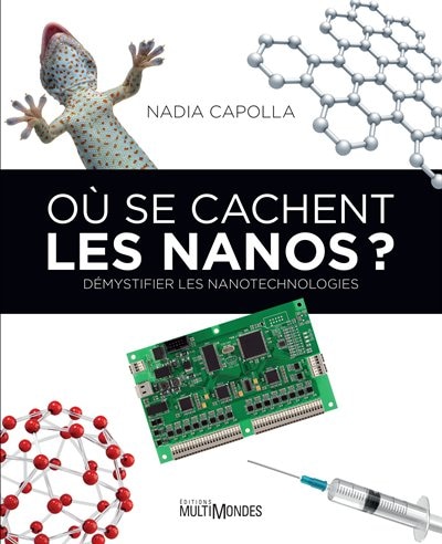 Où se cachent les nanos? image number 0