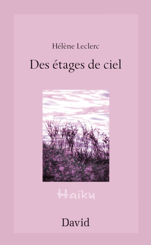 Front cover_Des étages de ciel : haïkus