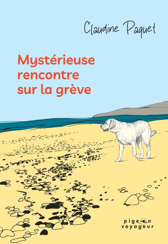 Front cover_Mystérieuse rencontre sur la grève
