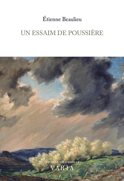 Couverture_Un essaim de poussière