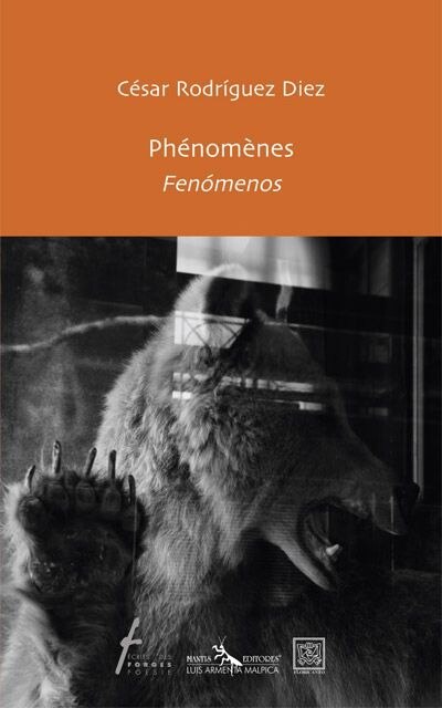 Front cover_Phénomènes