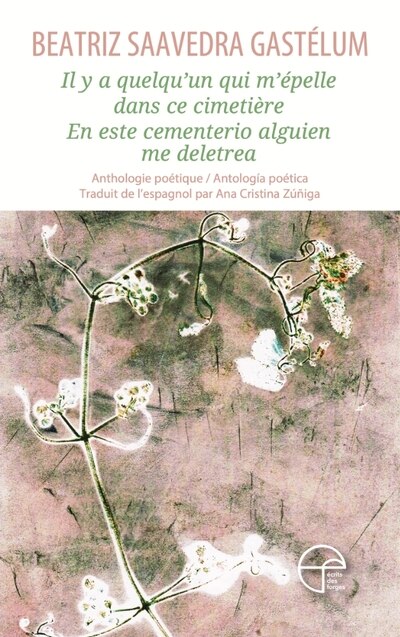 Front cover_Il y a quelqu'un qui m’épelle dans ce cimetière - En este cementerio alguien me deletrea