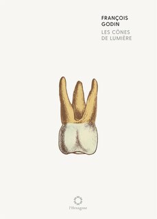 Couverture_Les cônes de lumière