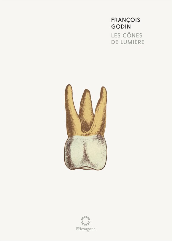 Couverture_Les cônes de lumière