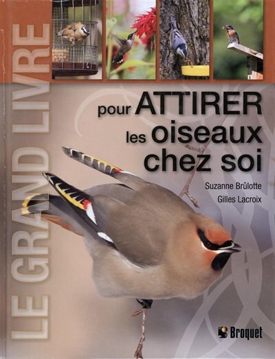 Le grand livre pour attirer les oiseaux chez soi