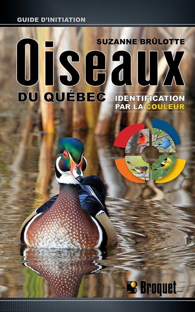 Couverture_Oiseaux du Québec : identification par la couleur : guide d'initiation