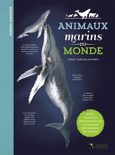 Front cover_Animaux marins du monde