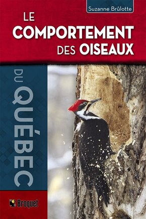 Le Comportement Des Oiseaux Du Québec