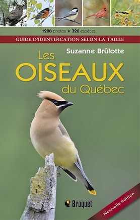 LES OISEAUX DU QUÉBEC