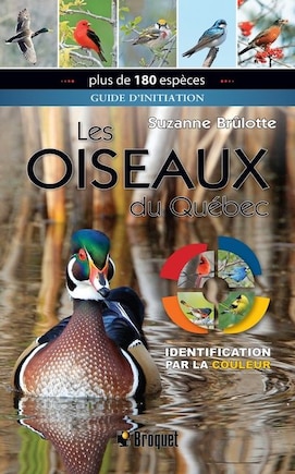 OISEAUX DU QUÉBEC : IDENTIFICATION PAR LA COULEUR