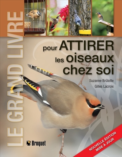 Couverture_Le grand livre pour attirer les oiseaux chez soi