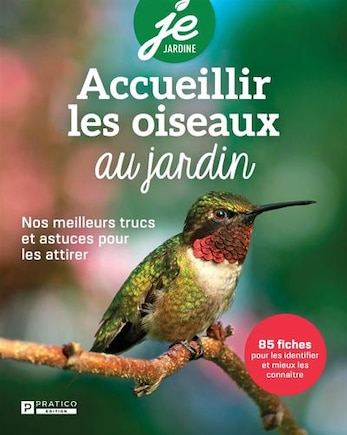 Accueillir les oiseaux au jardin: Nos meilleurs trucs et astuces pour les attirer