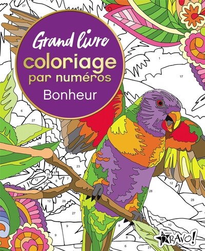 Couverture_Bonheur Grand livre coloriage par numéros