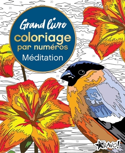 Couverture_Grand livre de coloriage par num&eacute;ros - M&eacute;ditation