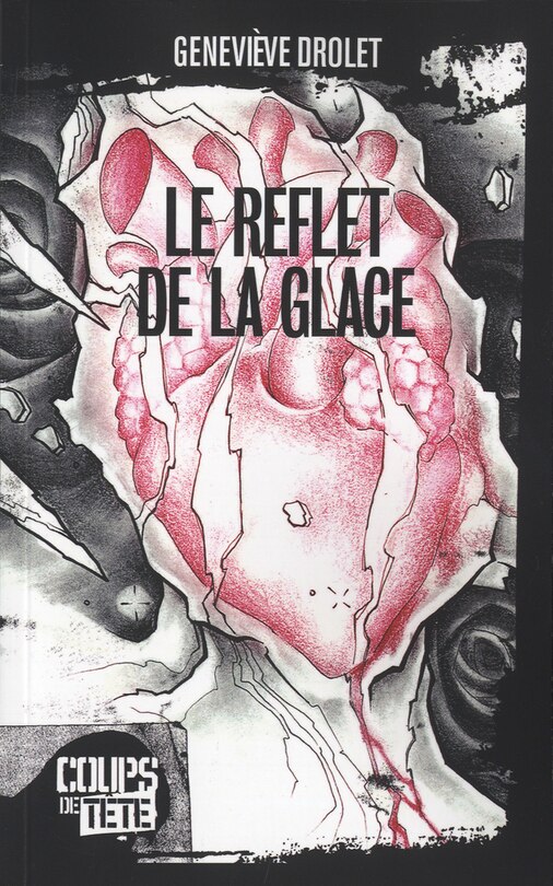 Front cover_Reflets de la glace