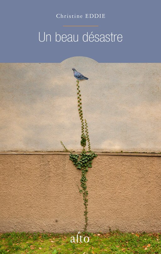 Front cover_UN BEAU DÉSASTRE