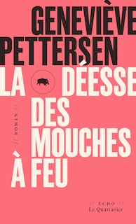 Couverture_La Déesse des mouches à feu