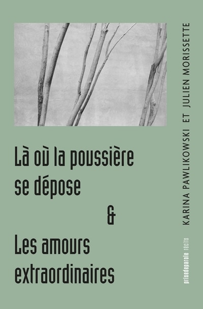 Front cover_L&agrave; o&ugrave; la poussi&egrave;re se d&eacute;pose, suivi de Les amours extradordinaires