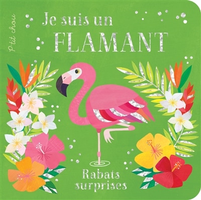 JE SUIS UN FLAMAND
