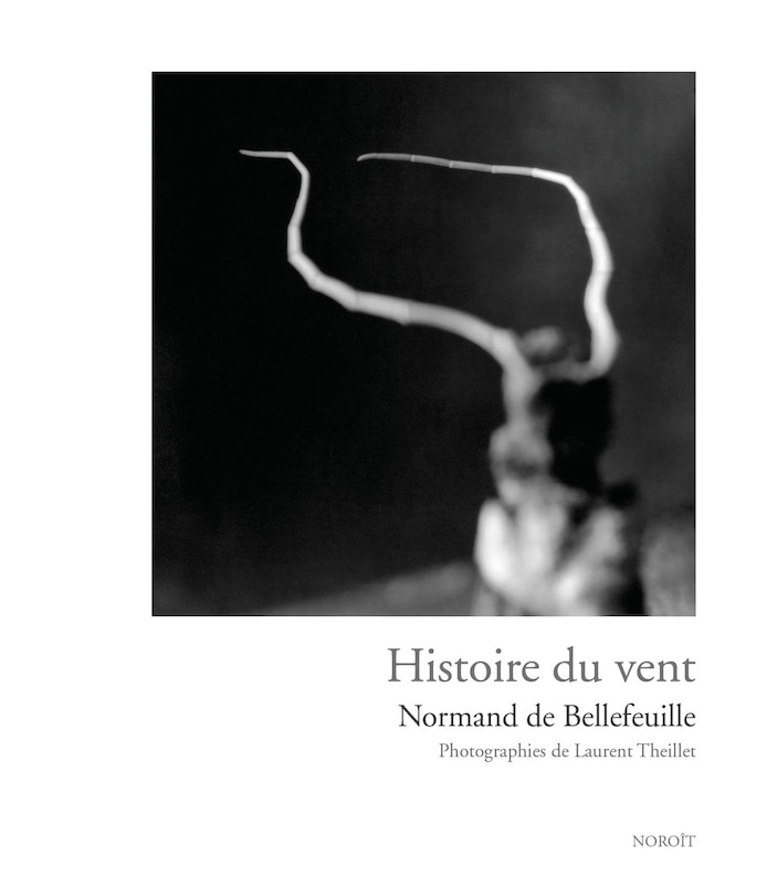 Front cover_Histoire du vent