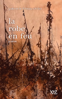 Couverture_La robe en feu