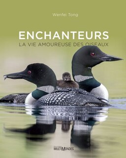 Front cover_Enchanteurs