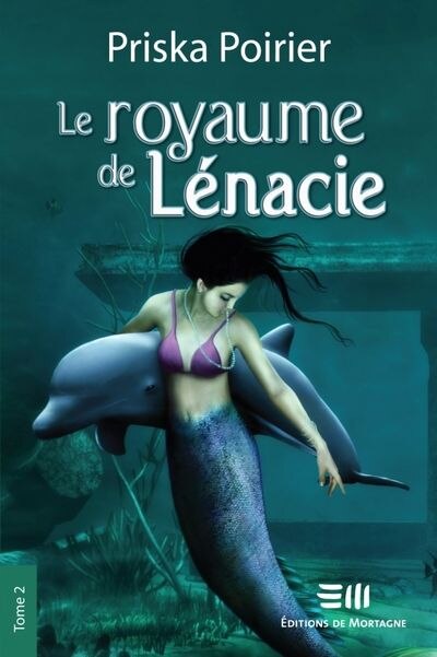 Couverture_Vague de perturbations