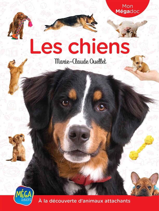 Couverture_Les chiens