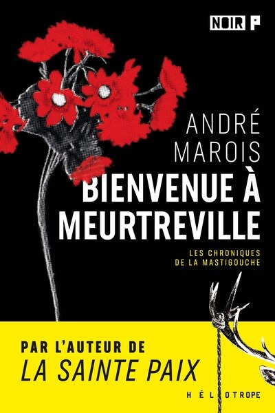Couverture_BIENVENUE À MEURTREVILLE