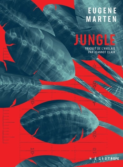 Couverture_Jungle