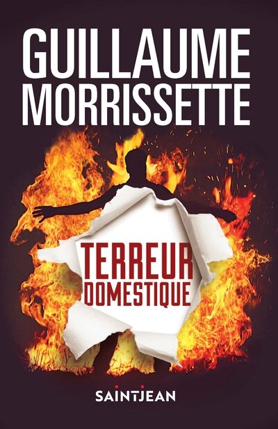 Couverture_Terreur domestique (compact)