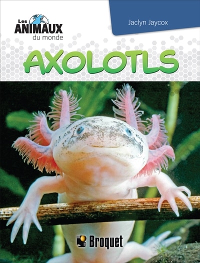 Couverture_Axolotls