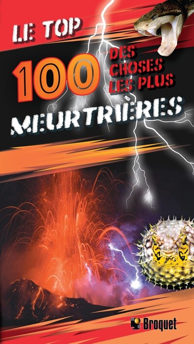 Couverture_Le top 100 des choses les plus meurtri&egrave;res N.E.