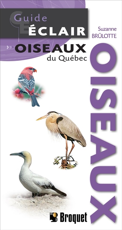 Couverture_Oiseaux du Qu&eacute;bec