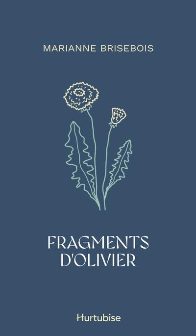 Couverture_Fragments d'Olivier