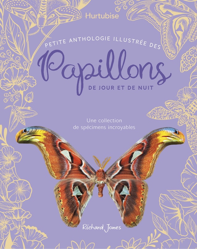 Couverture_Petite anthologie illustrée des papillons de jour et de nuit